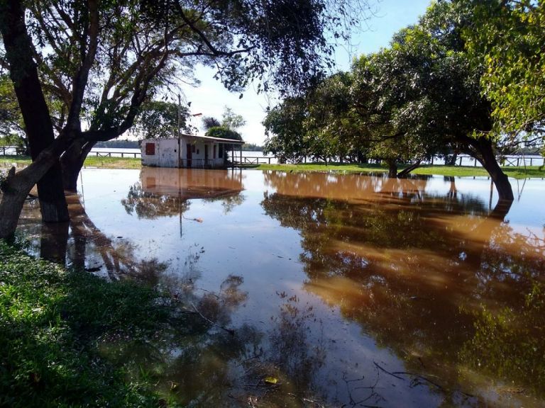 Sigue creciendo el río Uruguay en Santo Tomé EL TERRITORIO noticias