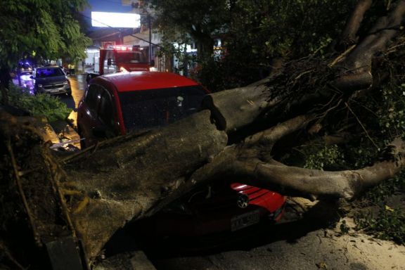 Fuertes vientos provocaron caídas de árboles en Posadas y hay varias zonas sin luz 