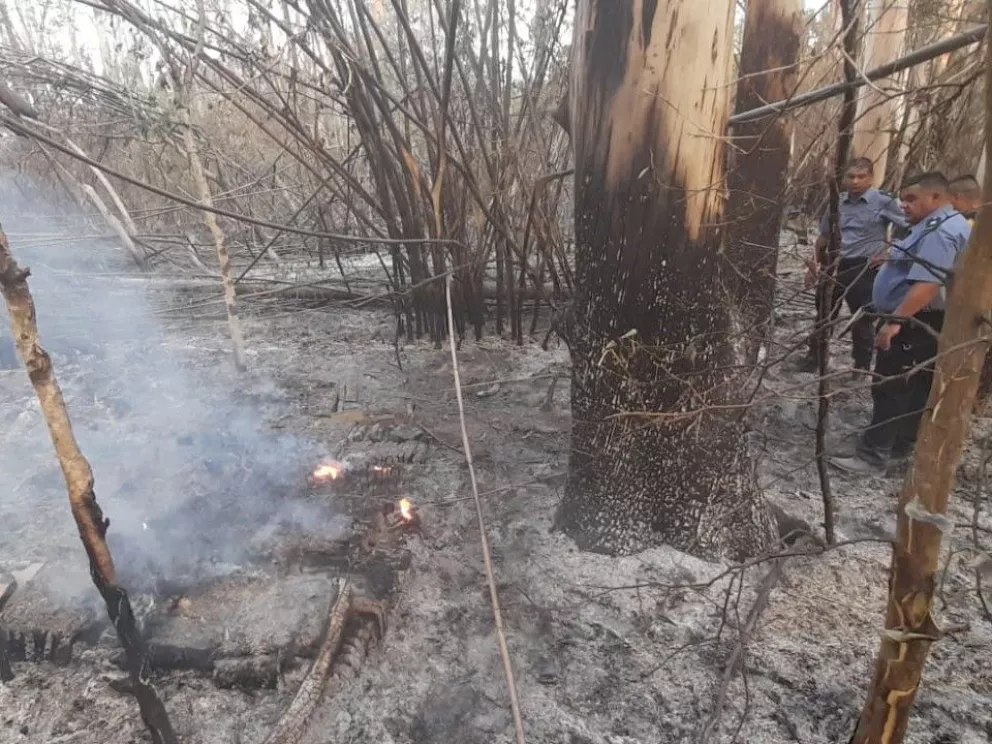 Villa Olivari: Policía incautó marihuana apilada en un monte quemado