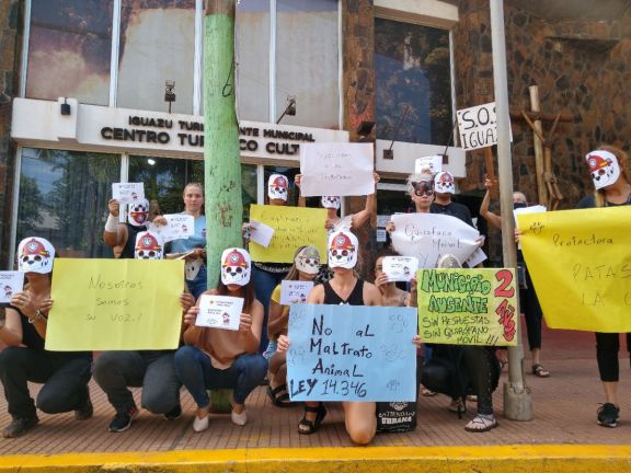 Iguazú: bajo la consigna "¡quirófano móvil ya!" una protectora de animales se manifestó frente al Iturem