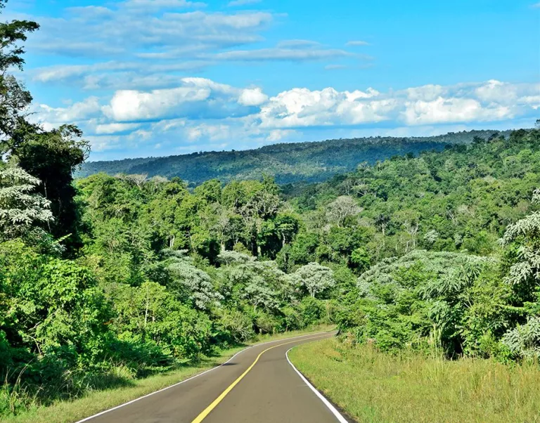Ratifican sostenibilidad ambiental en la industria forestal misionera