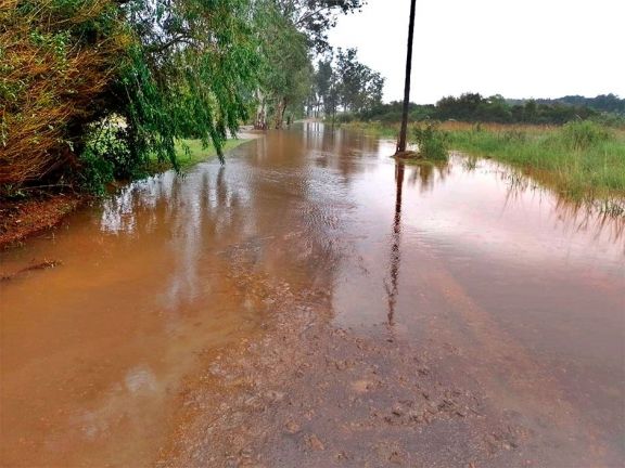 Exceso de lluvia: plagas, caminos intransitables y erosión en las chacras