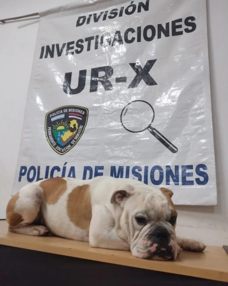 Lo detuvieron por querer cobrar el rescate de un perro