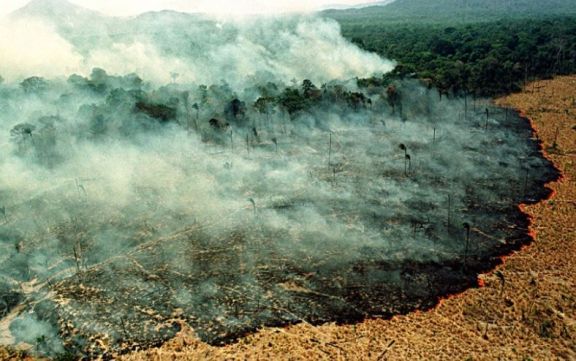 Twitter anunció que bloqueará "anuncios engañosos" que nieguen el cambio climático