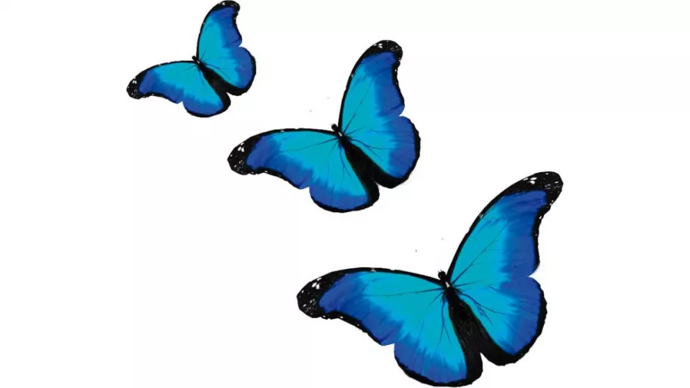 Leyenda de la mariposa azul: mombe’ ypy Panambi hovy