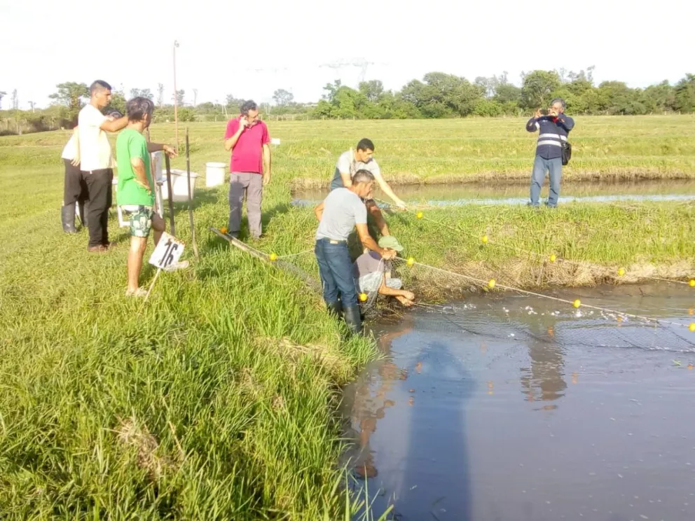 Integrantes de la comunidad Yryapú se capacitaron en piscicultura y acuicultura