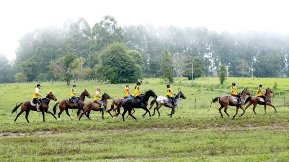 Endurance Ecuestre, un deporte que prioriza el bienestar del caballo y gana terreno