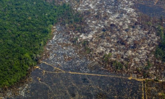 La Amazonia brasileña registró una deforestación récord en el mes de abril